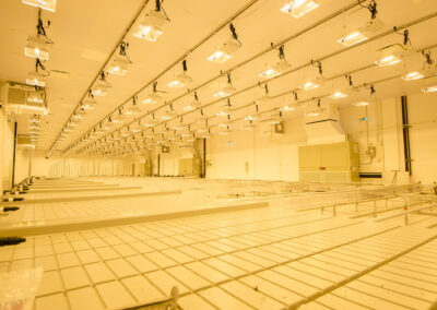 GLeaf - Grow Room Lighting by Tate & Hill Electrical